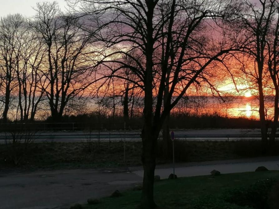 17 Duenenweg Duenenblick Lägenhet Boltenhagen  Exteriör bild